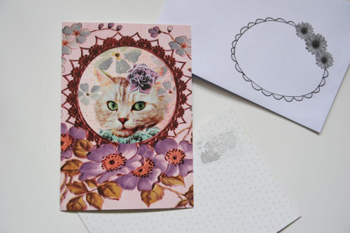 Carte postale Chat