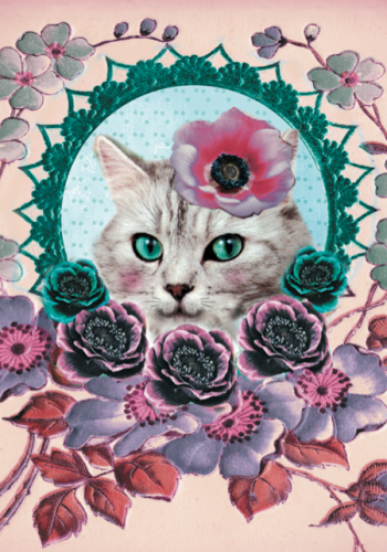 Carte «&nbsp;Chat&nbsp;»