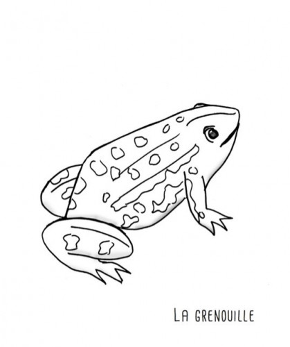 Coloriage Du coq à l'âne